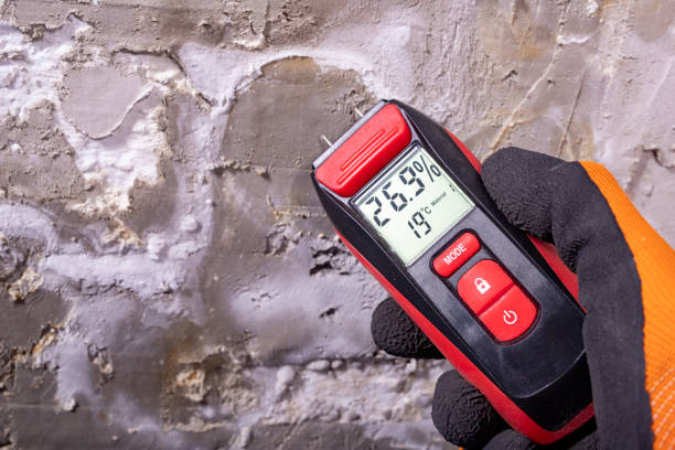 Best Same-Day Mold Removal  in North Las Vegas, NV